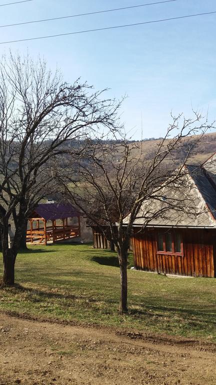 Cabana Bunicilor Rachitele Dış mekan fotoğraf