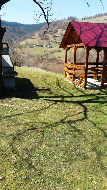 Cabana Bunicilor Rachitele Dış mekan fotoğraf