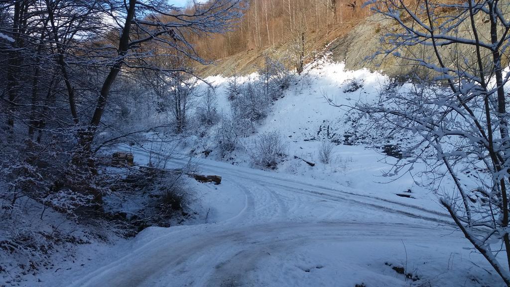 Cabana Bunicilor Rachitele Dış mekan fotoğraf