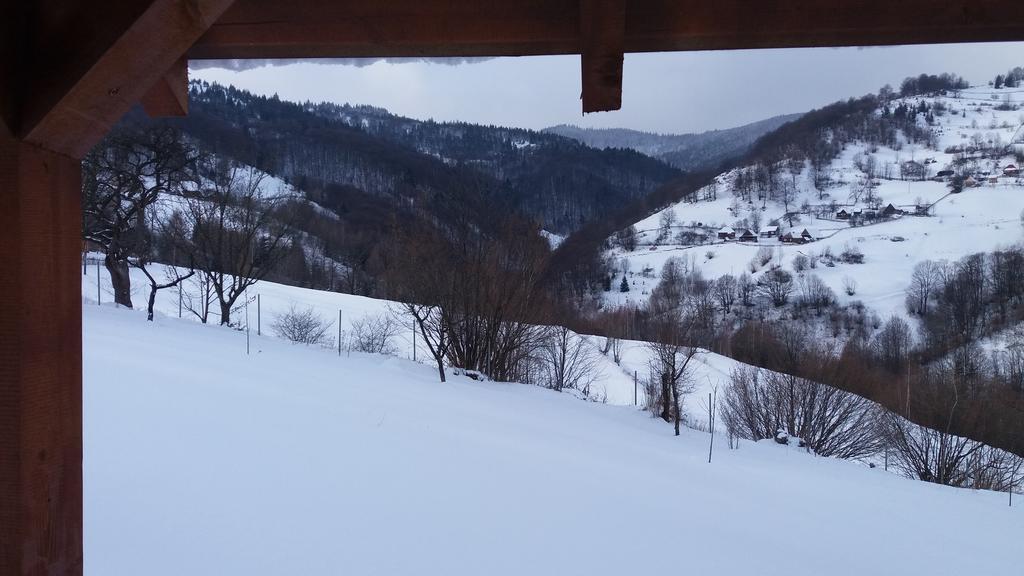 Cabana Bunicilor Rachitele Dış mekan fotoğraf
